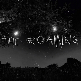 The Roaming
